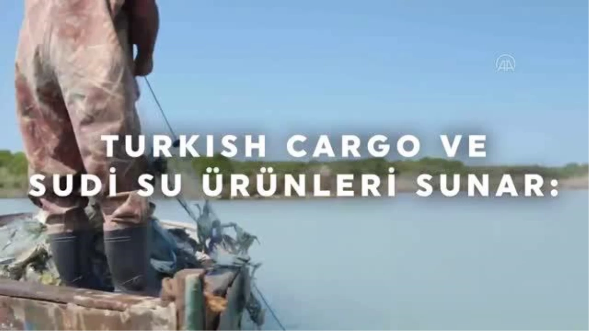 Turkish Cargo mavi yengeçlerin yolculuğunu anlatacak