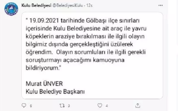 Belediyenin yol kenarına attığı köpekler araçların altında can verdi