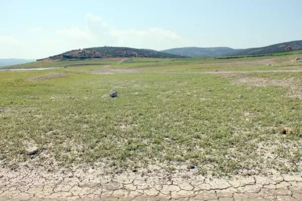 Son dakika... Hatay'da kuraklık Yarseli Barajı'nı vurdu