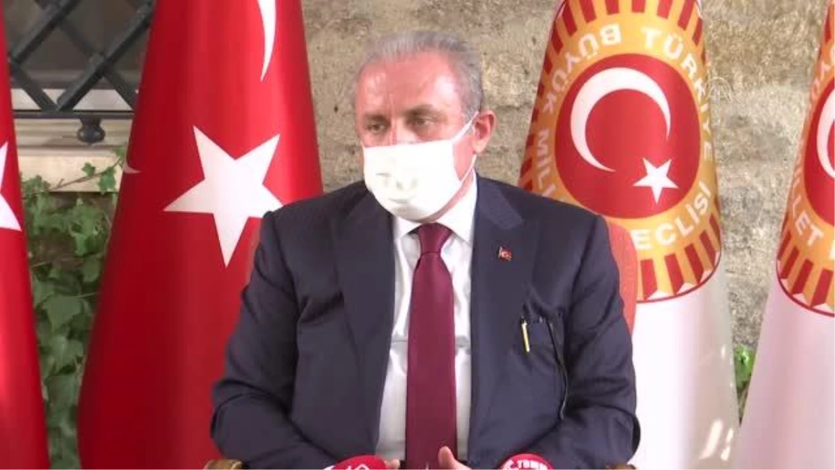 TBMM Başkanı Şentop, AB\'nin göç, İslamofobi ve Doğu Akdeniz politikalarını eleştirdi (2)