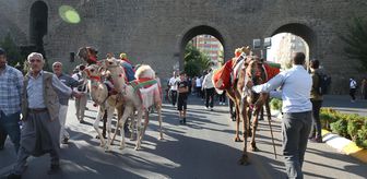DİYARBAKIR - '11. Diyarbakır Karpuz Festivali' renkli görüntülere sahne oldu