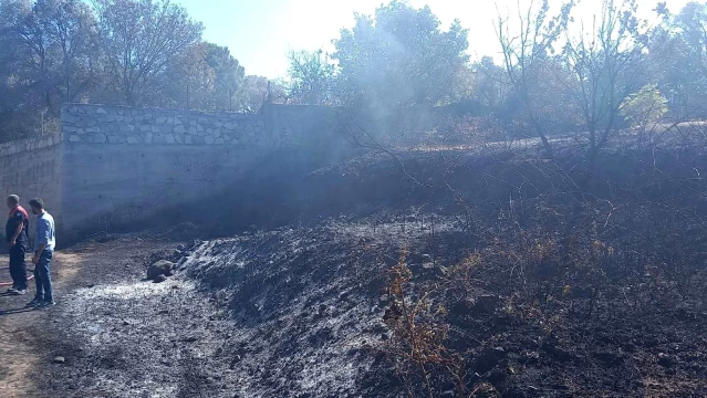Bodrum'da yangın paniği, alevler evlere sıçramadan söndürüldü