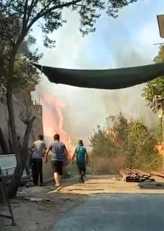 Bodrum'da yangın paniği, alevler evlere sıçramadan söndürüldü