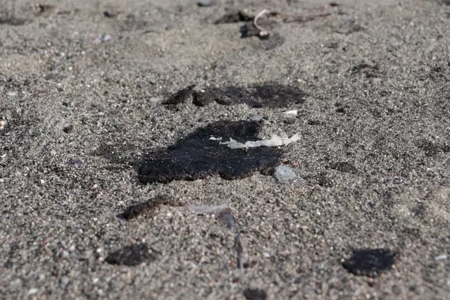 Sahilde Suriye kaynaklı petrol sızıntısının temizlik çalışmaları sürüyor Sahilde Suriye kaynaklı petrol sızıntısının temizlik çalışmaları sürüyor