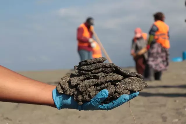 Sahilde Suriye kaynaklı petrol sızıntısının temizlik çalışmaları sürüyor Sahilde Suriye kaynaklı petrol sızıntısının temizlik çalışmaları sürüyor