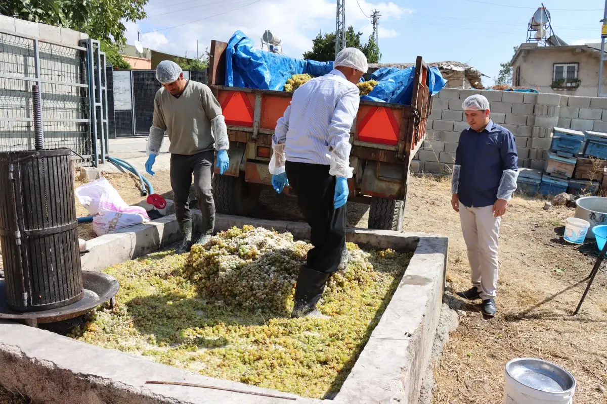 Kilis\'in organik üzüm pekmezi için kazanlar kaynıyor