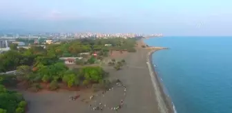 Kum zambaklarının bulunduğu alan koruma için şeritle çevrildi