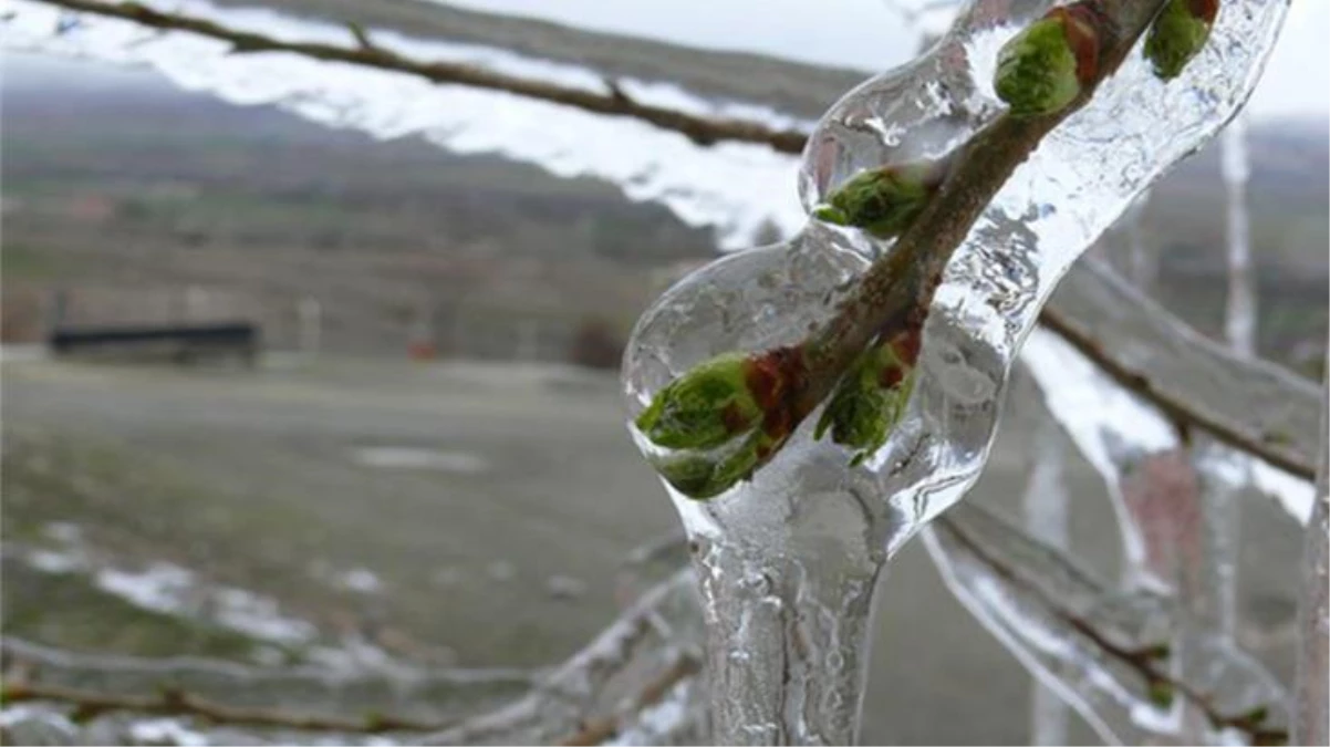 Son dakika! Meteoroloji\'den çiftçilere önemli uyarı: Kayseri, Sivas, Kırşehir ve Yozgat\'ta don bekleniyor