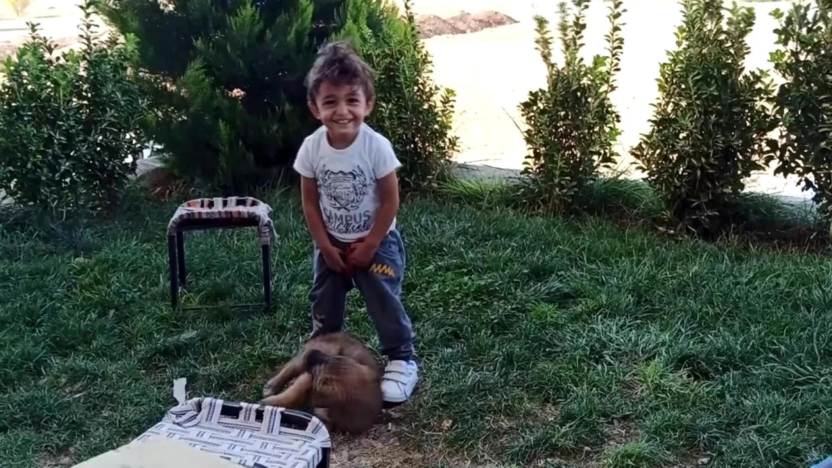 Minik çocukla yavru köpeğin oynaması kameraya yansıdı