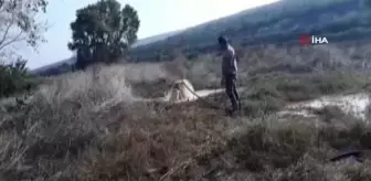 Tarlasından soda fışkırdı