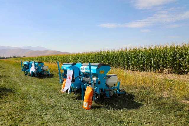 Van'da devlet destekli yetiştirilen silajlık mısırın hasadına başlandı
