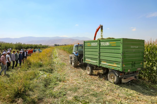 Van'da devlet destekli yetiştirilen silajlık mısırın hasadına başlandı