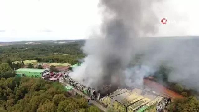 Yangın Şile'deki fabrikada büyük hasara neden oldu