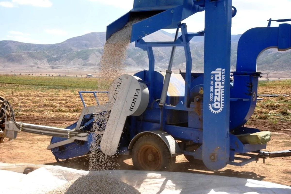 Bitlis\'te bu yıl 40 bin ton fasulye hasadı bekleniyor