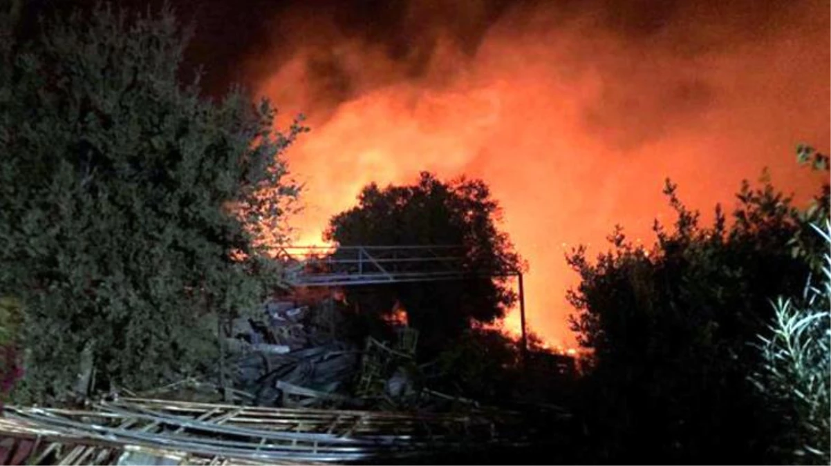 Bodrum\'da makilik alanda çıkan yangın 5 hektarlık alanı küle çevirdi