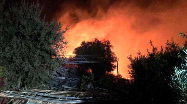 Bodrum'da makilik alanda çıkan yangın 5 hektarlık alanı küle çevirdi