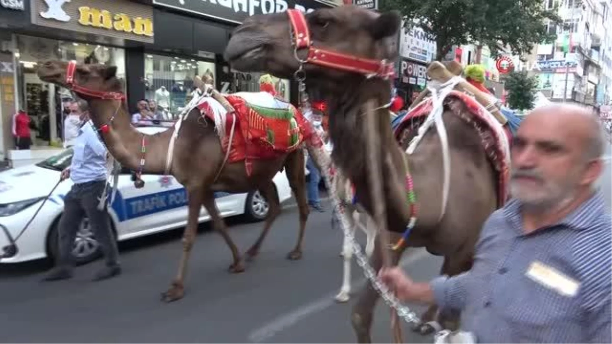 Diyarbakır 11. Karpuz Festivalini coşkuyla kutladı, sokaklarda develer karpuz taşıdı