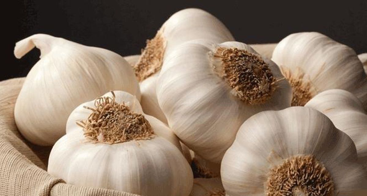 Doğal antibiyotik sarımsağı tüketirken dikkat edilmesi gerekenler