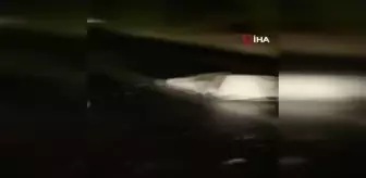 İpsala'da feci kaza...Otomobil gümrük kapısı kuyruğundaki tıra çarptı: 1 ölü