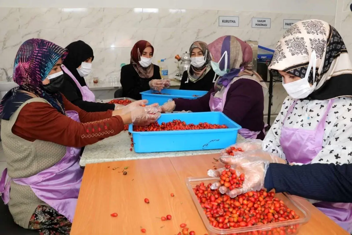 Kadınlar hem üretiyor hem de bütçelerine katkı sağlıyor