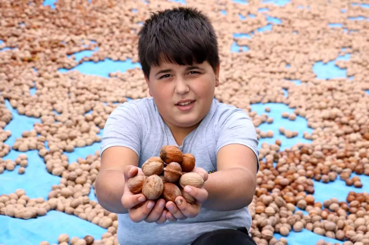 Kahramanmaraş\'tan 10 bin ton tescilli ceviz ihracatı