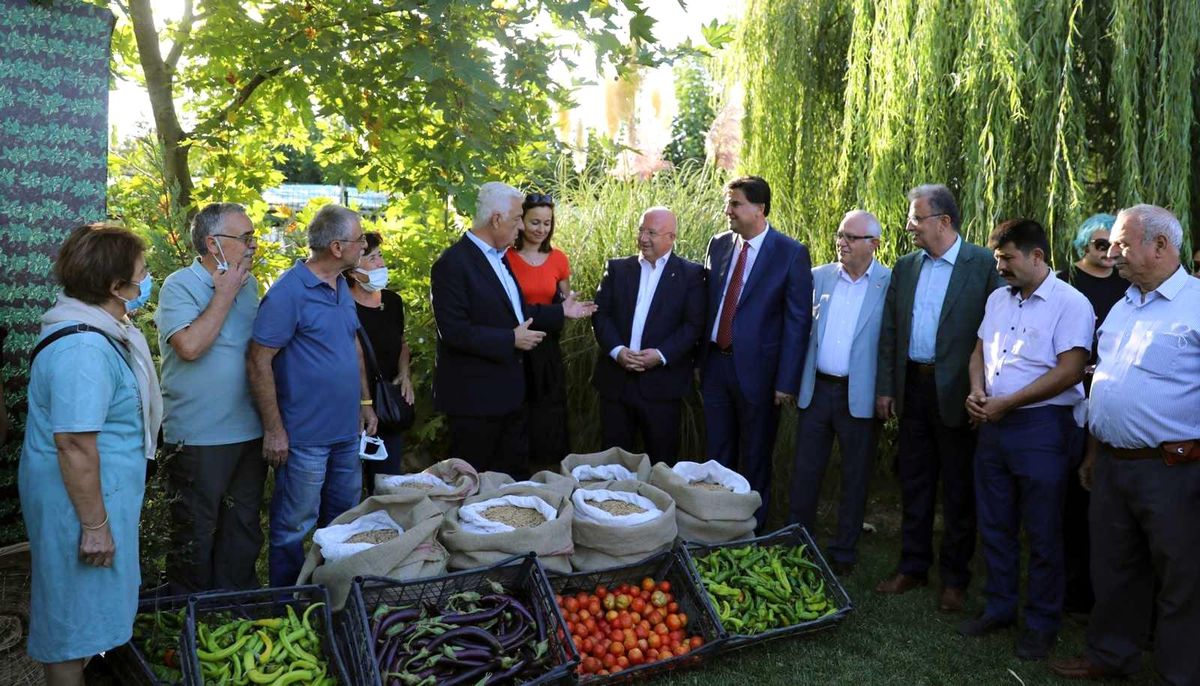 Menteşe\'de hasat şenliği