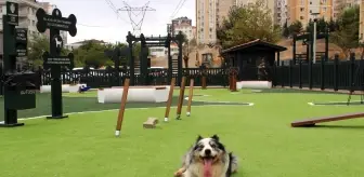 'Minik Dostlar' hayvan parkı Ümraniye'de açıldı