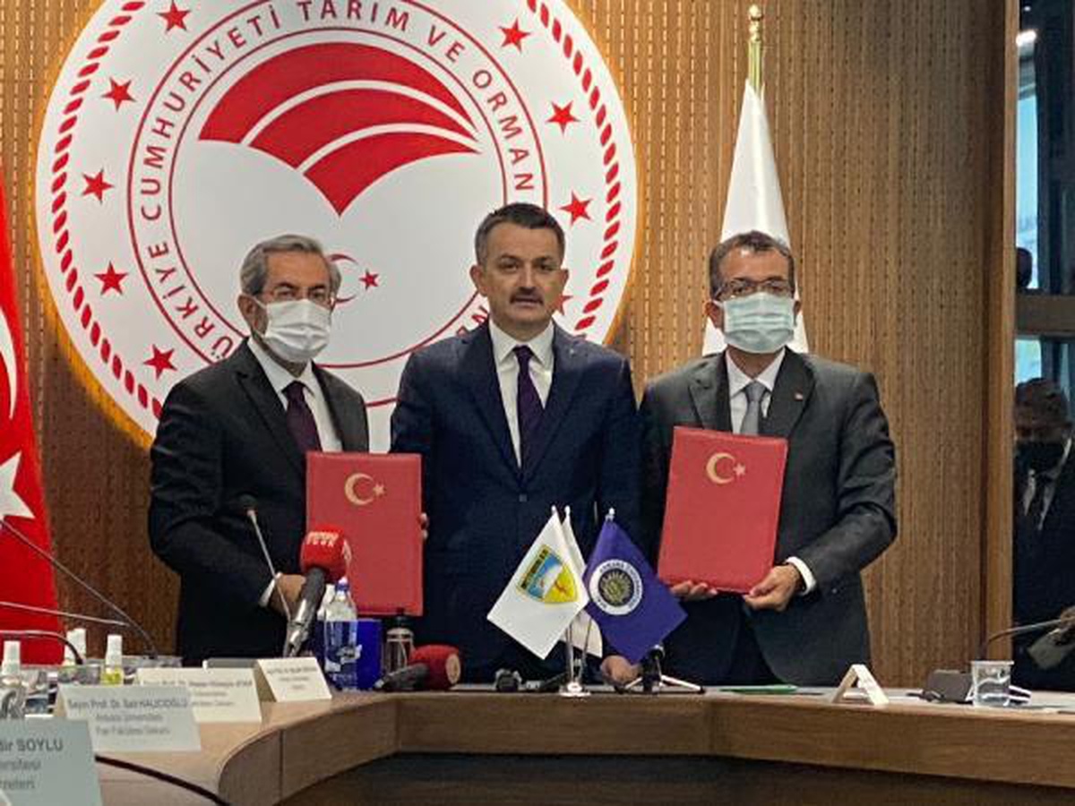 Polen alerjisine \'erken uyarı\' sistemi