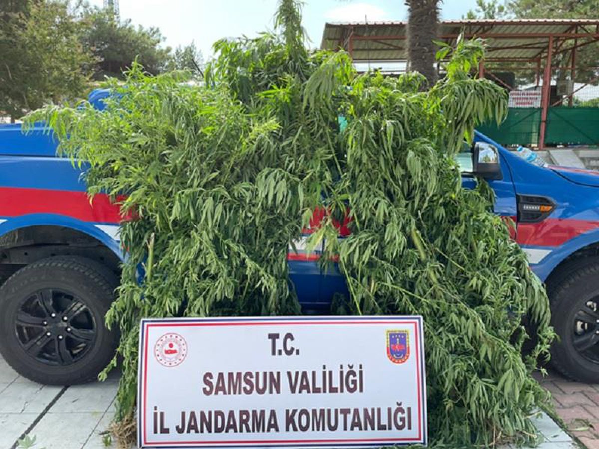 Son dakika gündem: Samsun\'da uyuşturucu operasyonlarında 17 şüpheli yakalandı