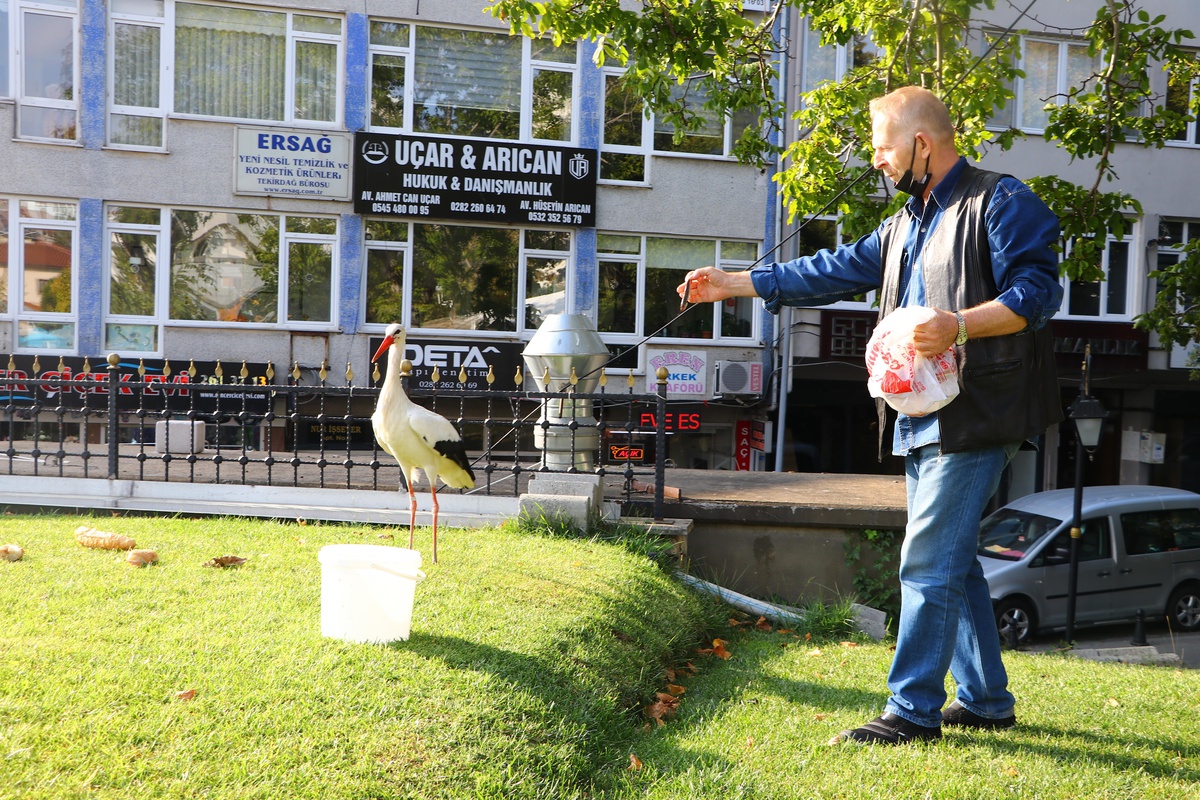 Tarihi çarşının bahçesine konan leylek esnafın maskotu oldu