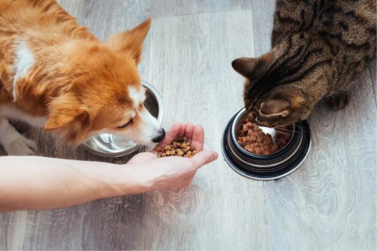 Hektaş, pet mama üretim tesisi kuruyor