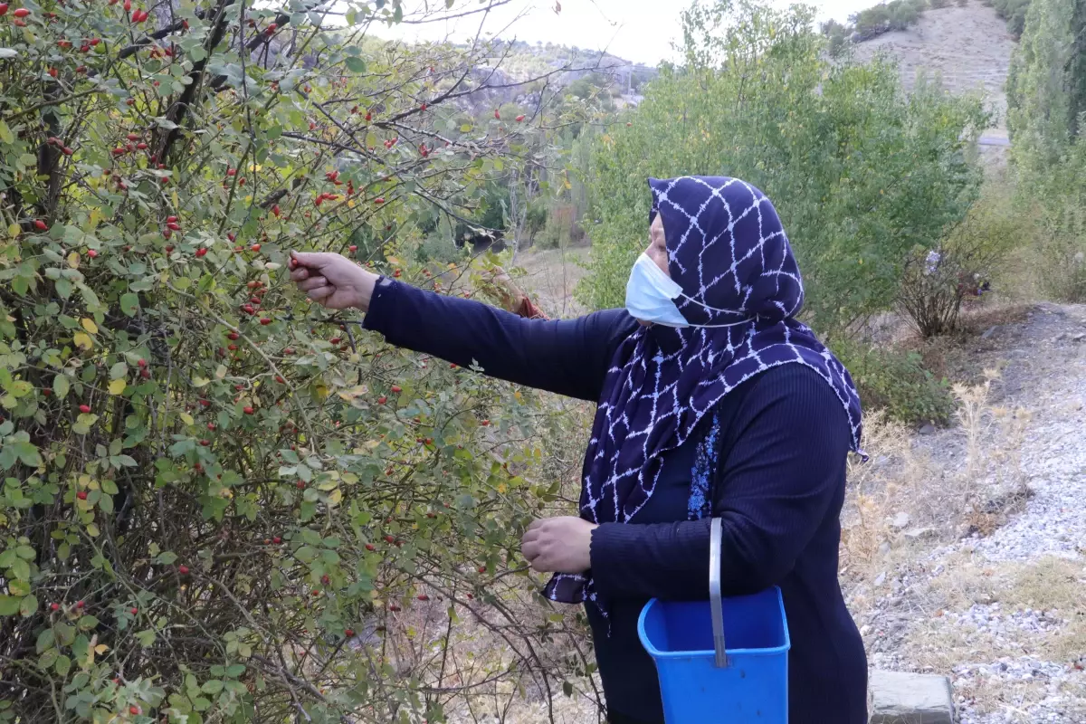 Yozgatlı kadınlar, kurdukları kooperatifle yöresel ürünlere değer katıyor