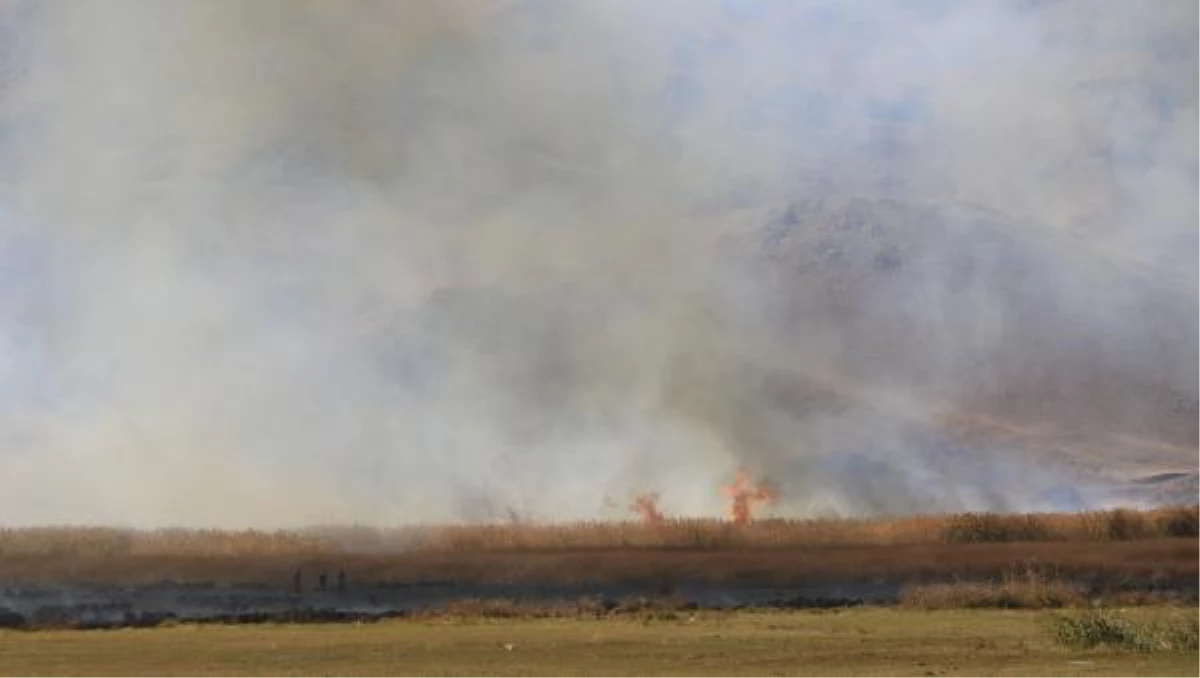 Yüksekova\'daki kuş cennetinde sazlık yangını