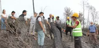 Son dakika haberleri! Adana Orman Bölge Müdürü Mahmut Yılmaz, Osmaniye'deki yangında yanan alanları inceledi