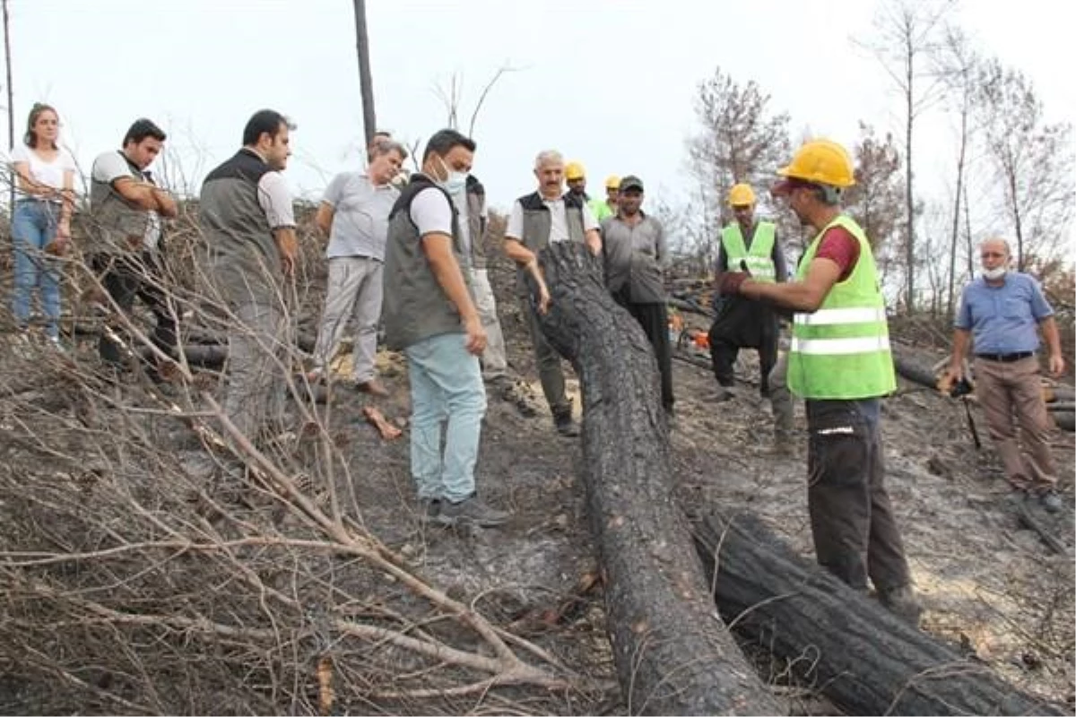 Son dakika haberleri! Adana Orman Bölge Müdürü Mahmut Yılmaz, Osmaniye\'deki yangında yanan alanları inceledi