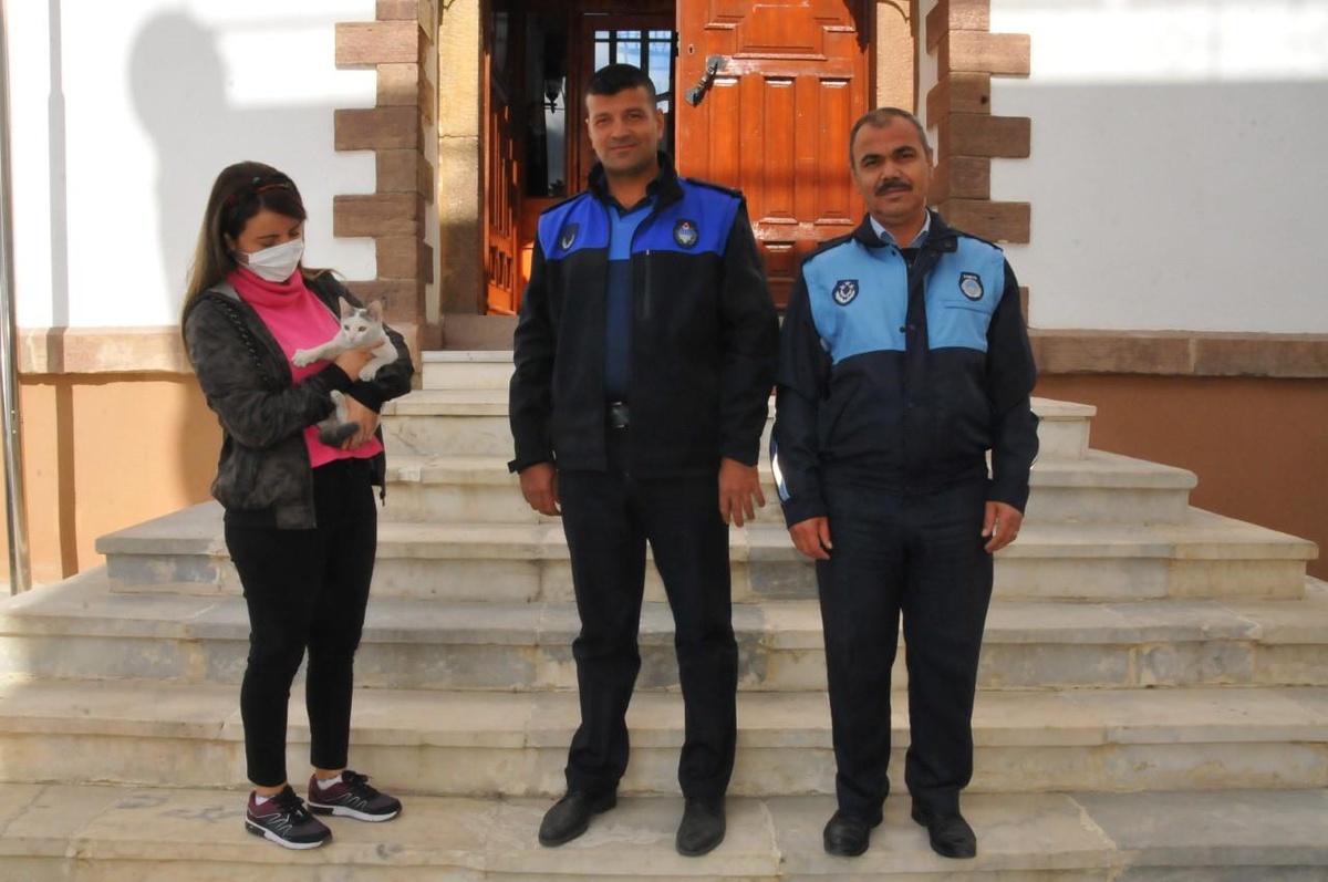 Akşehir\'de zabıta ekipleri sokakta bulduğu kediyi sahibine teslim etti