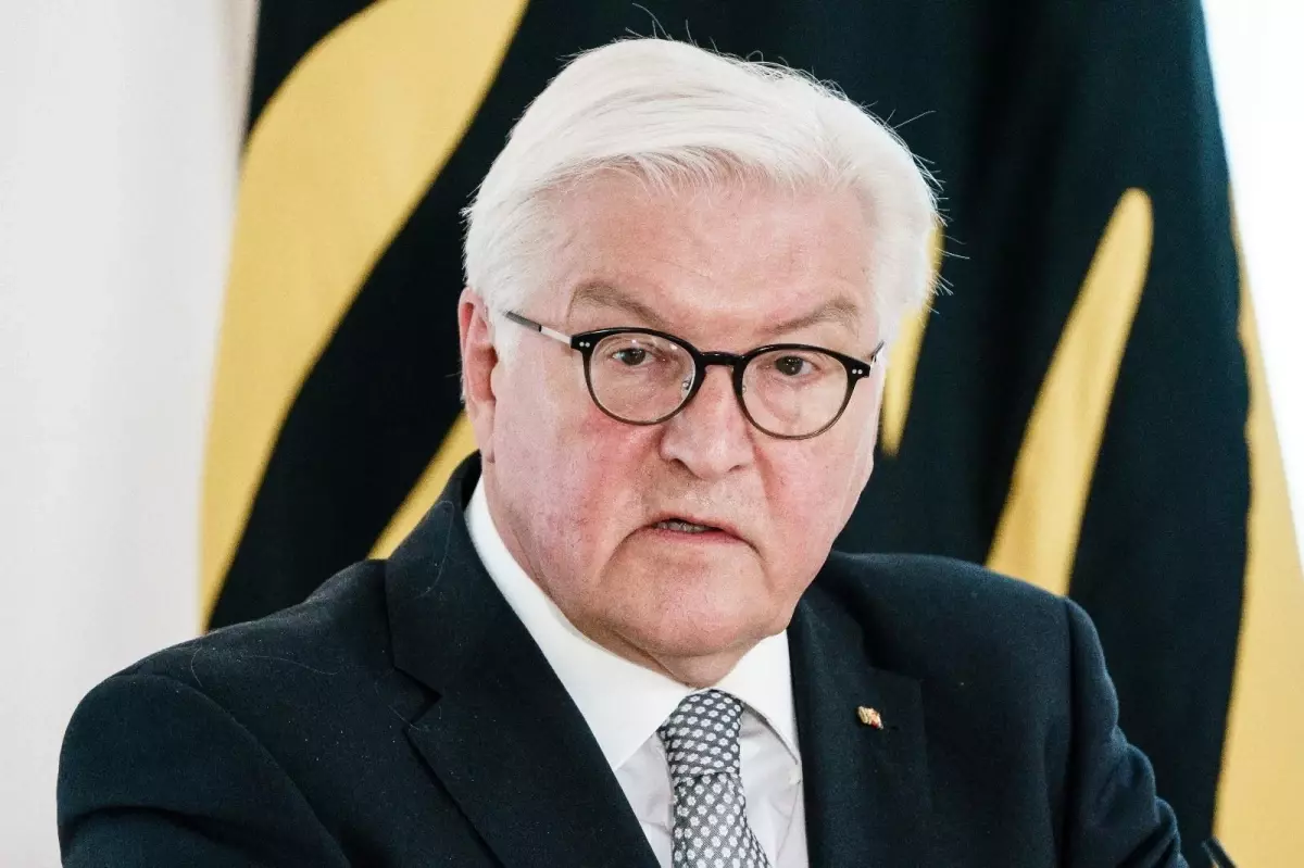 Almanya Cumhurbaşkanı Steinmeier: "Afganistan\'da birçok şeyde başarısız olduk""BM, dünya güçlerinin emrindeki bir boks ringi değildir"