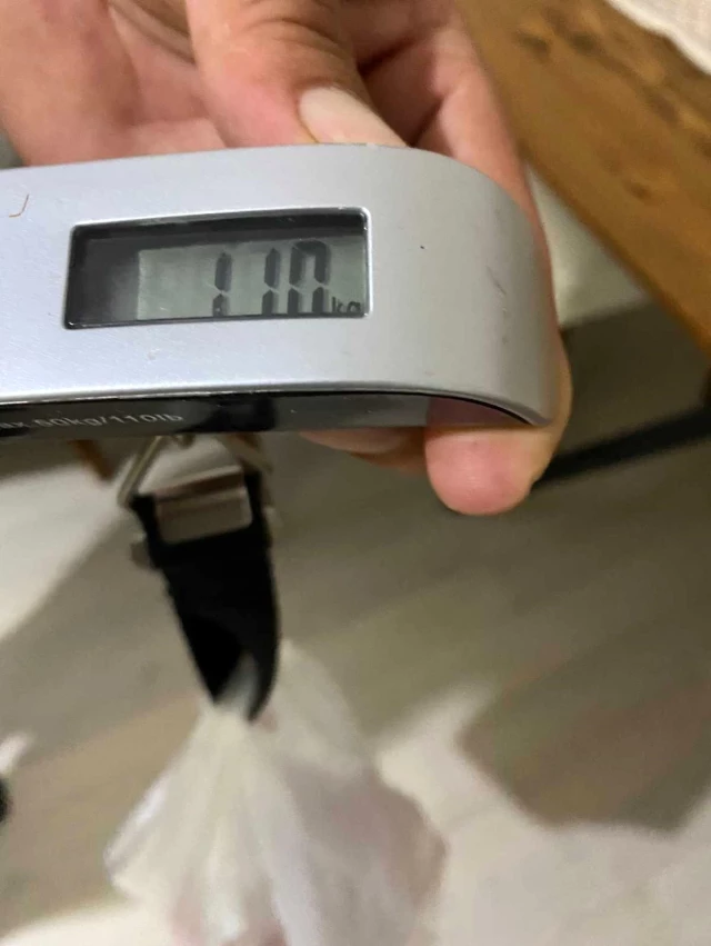 Lise müdürünün yetiştirdiği 1 kilo 100 gram ağırlığındaki dev domates görenleri şaşırtıyor