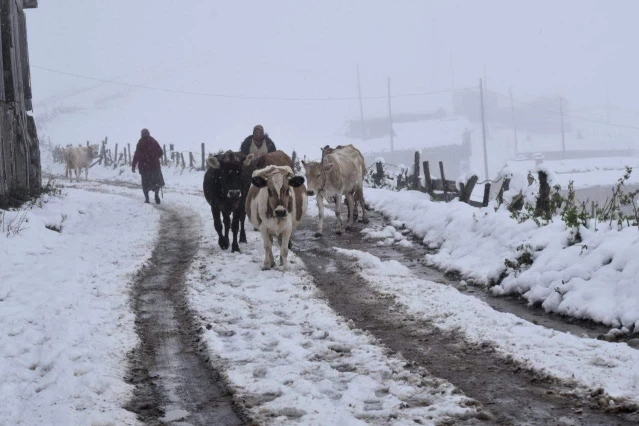 Trabzon'un yüksek kesimlerinde kar kalınlığı 30 santimetreye çıktı