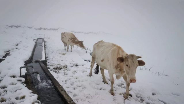 Trabzon'un yüksek kesimlerinde kar kalınlığı 30 santimetreye çıktı