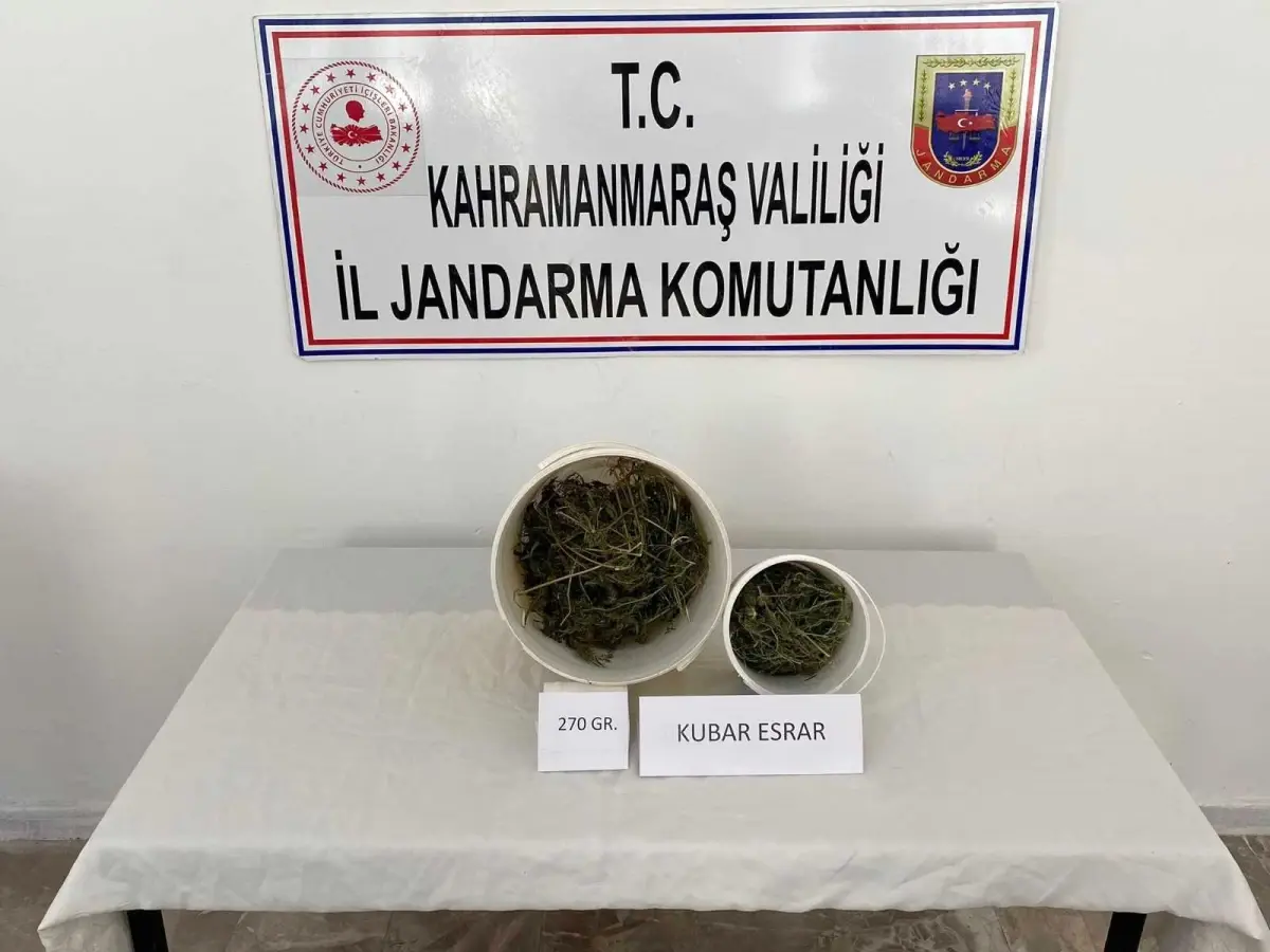 Son dakika haberi: Kahramanmaraş\'ta uyuşturucuya 1 gözaltı