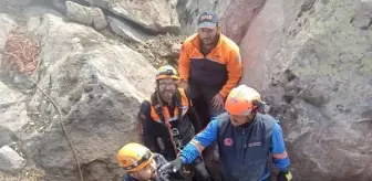 Kayalıklarda mahsur kalan oğlak kurtarıldı