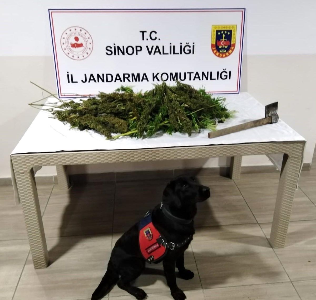 Sinop\'ta uyuşturucu operasyonu