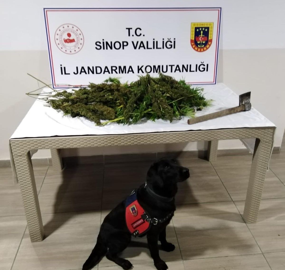 Sinop\'ta uyuşturucu operasyonunda 2 şüpheli yakalandı