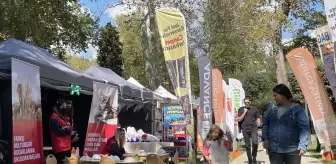 'Türkiye'nin Evcil Hayvan ve Yaşam Festivali' başladı