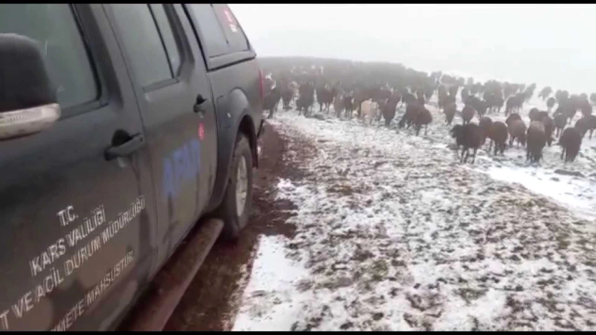 Allahuekber Dağları\'nda kar ve tipide mahsur kalan iki çoban kurtarıldı