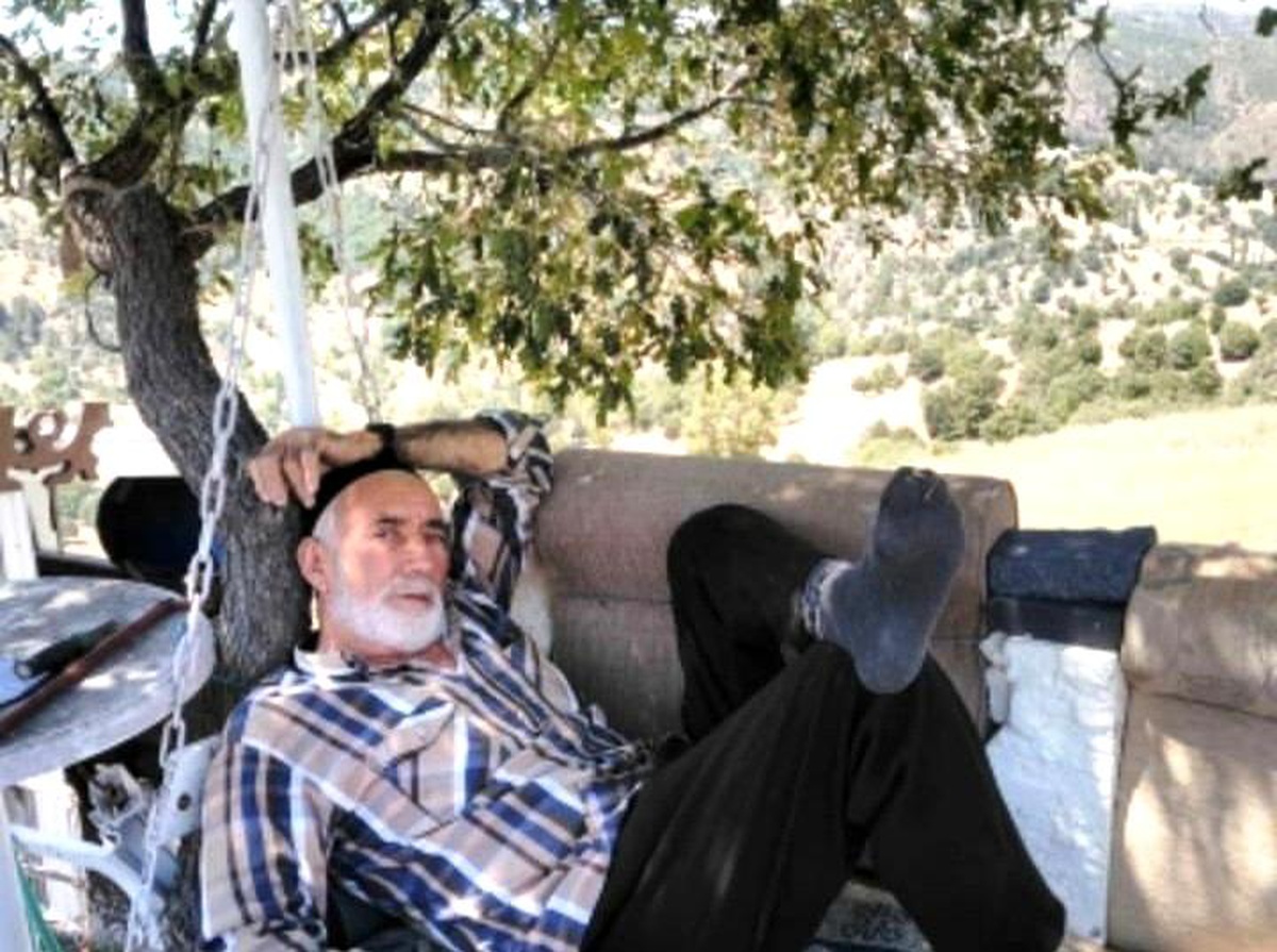 Ceviz toplarken kalp krizi geçiren yaşlı adam hayatını kaybetti