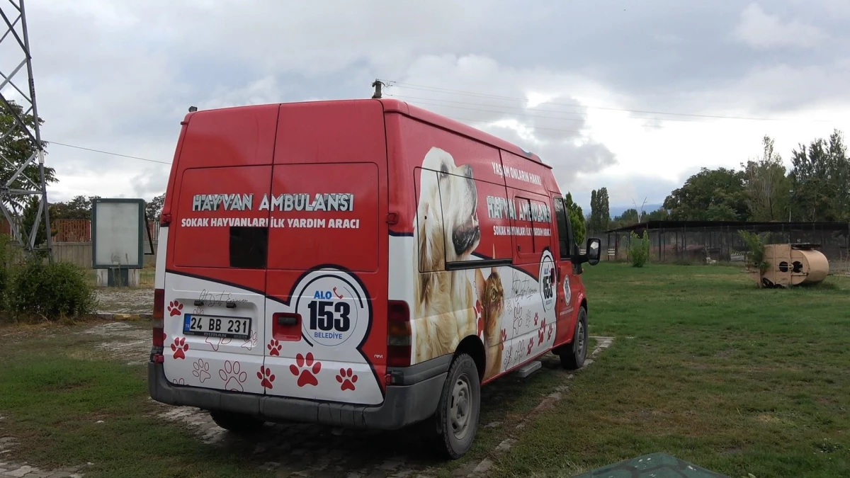 Erzincan\'da sokak hayvanları için tam donanımlı hayvan ambulansı hizmete girdi