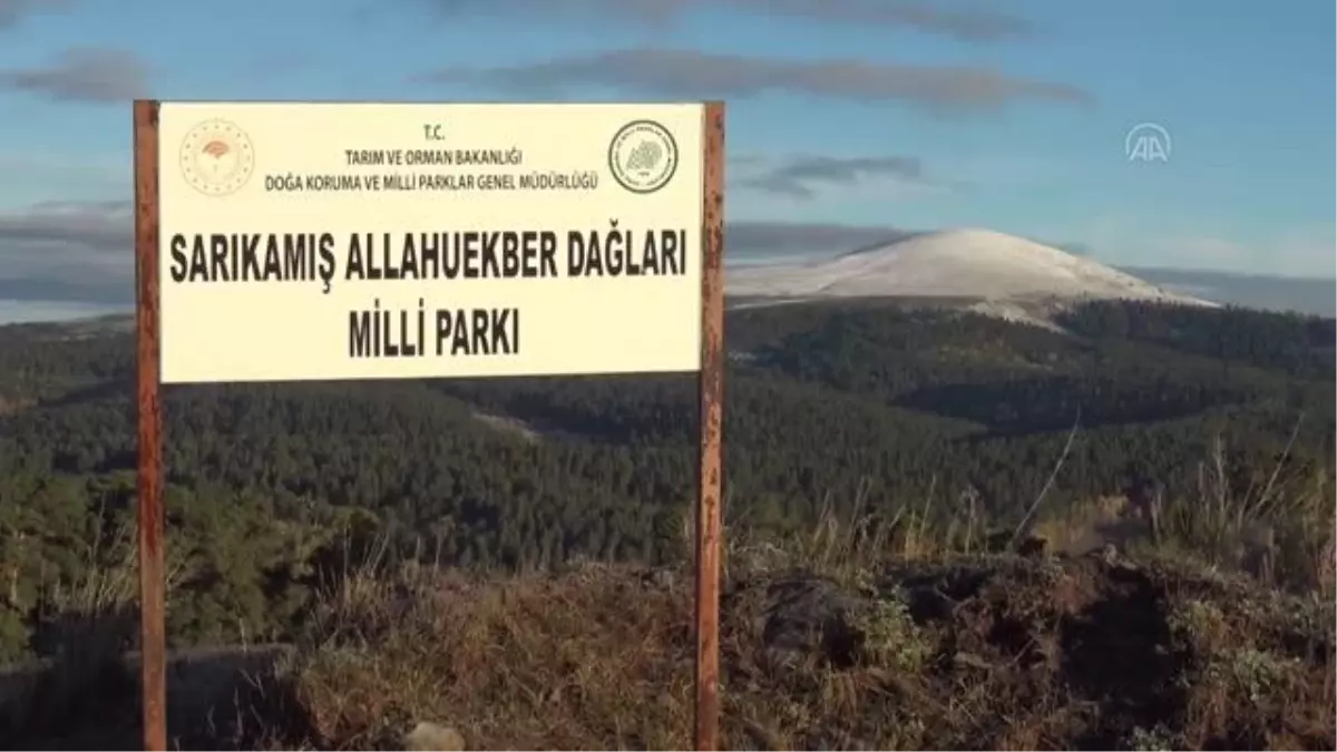 Kar ve sonbahar renkleri güzel manzaralar oluşturdu