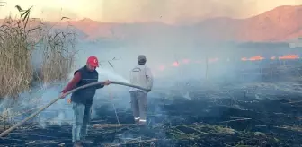 Karamık Gölü sazlık alan yangınını sülük toplayanların çıkardığı iddiası